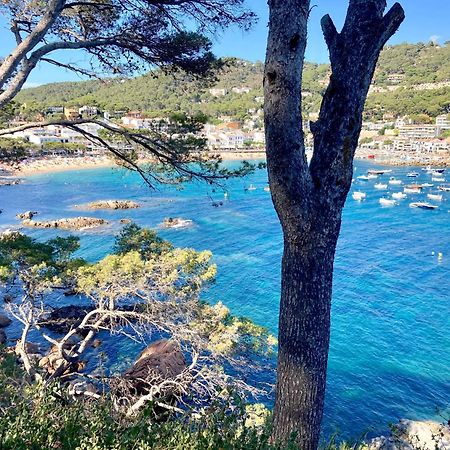 Apartment 1Llad01 - Llafranc Calella De Palafrugell Luaran gambar