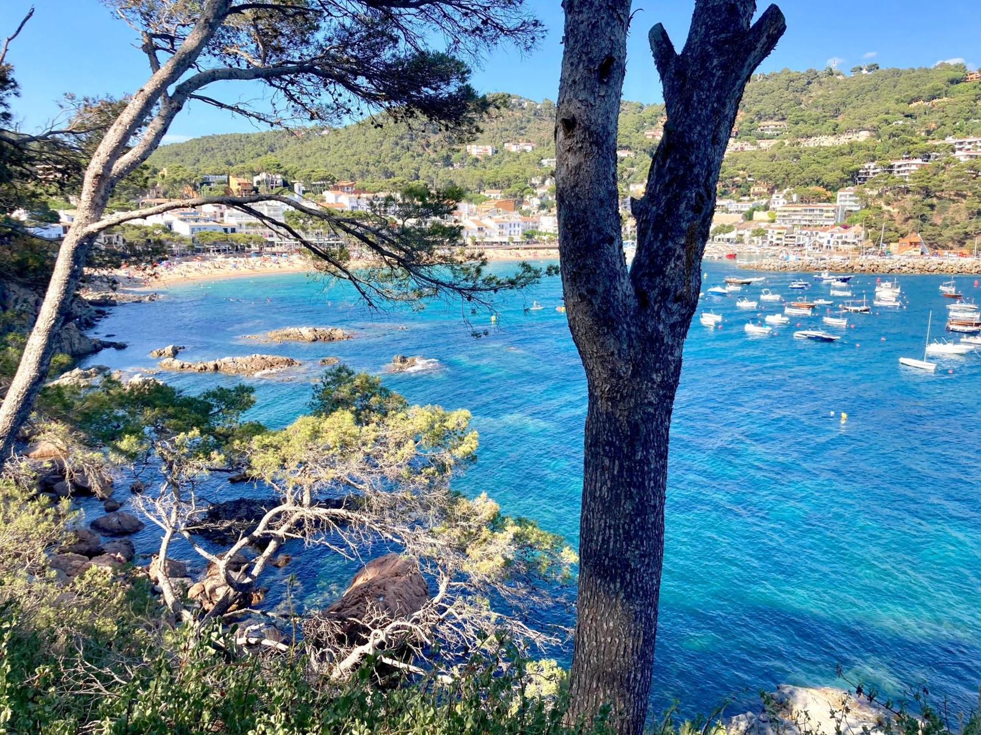 Apartment 1Llad01 - Llafranc Calella De Palafrugell Luaran gambar