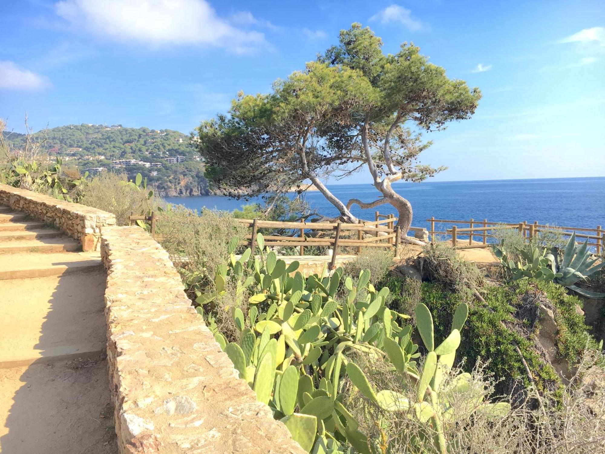 Apartment 1Llad01 - Llafranc Calella De Palafrugell Luaran gambar